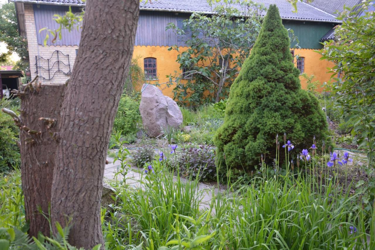 Havehojegaard Apartment Borre Exterior photo